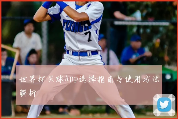 世界杯买球App选择指南与使用方法解析