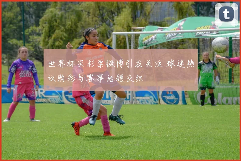 世界杯买彩票微博引发关注 球迷热议购彩与赛事话题交织